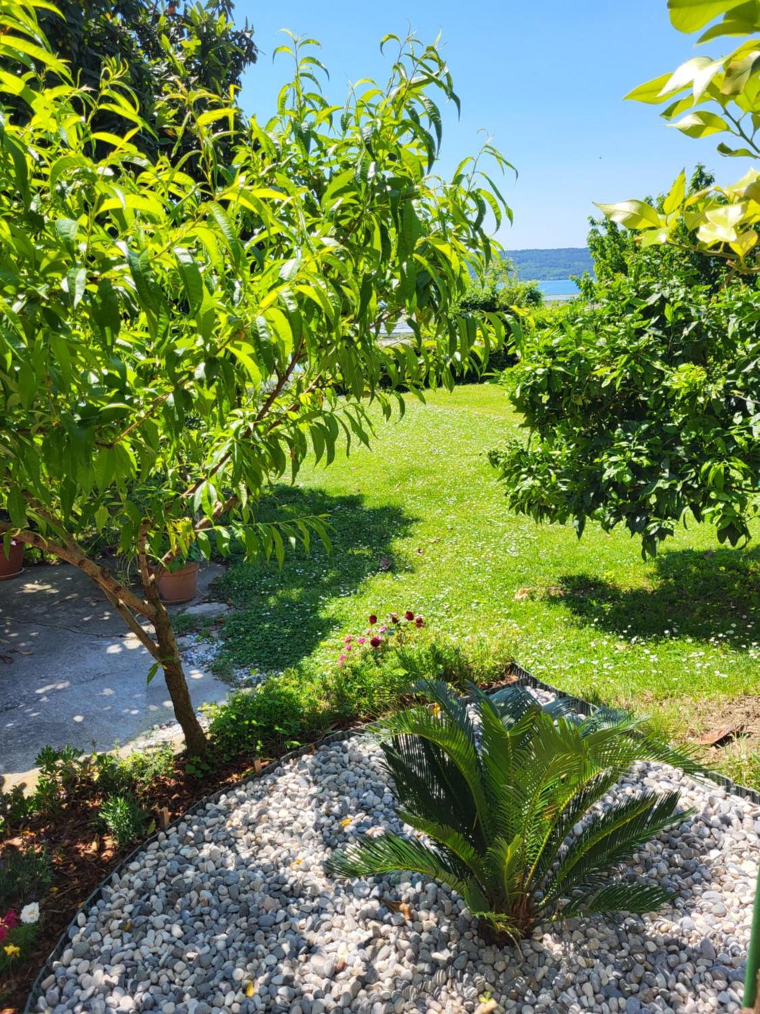 Apartment Salt Pans View Portorož Exterior foto